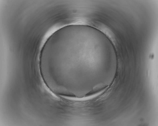 X0000092081480200709121434