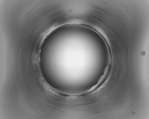 X0000092081481200709121434