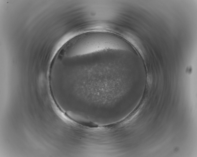 X0000092081482200709121434