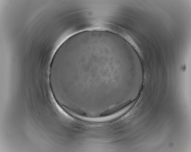 X0000092081484200709121434