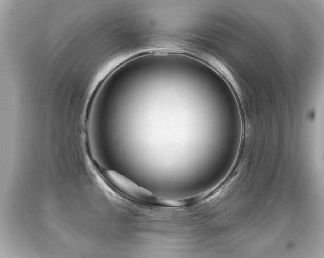 X0000092081485200709121434