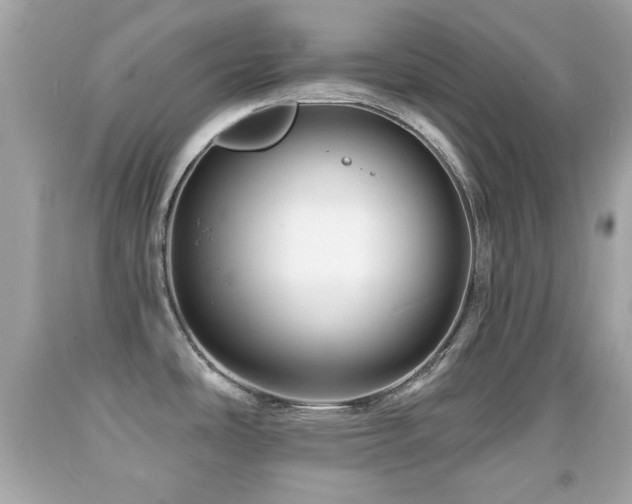 X0000092081486200709121434