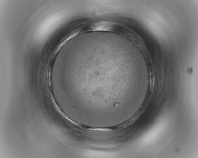 X0000092081487200709121434