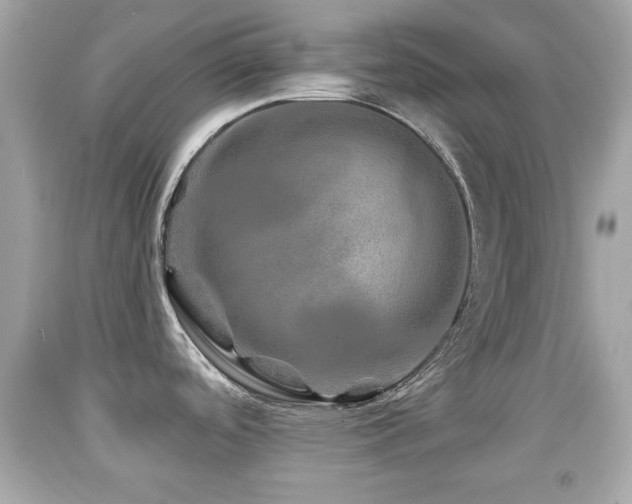 X0000092081488200709121434