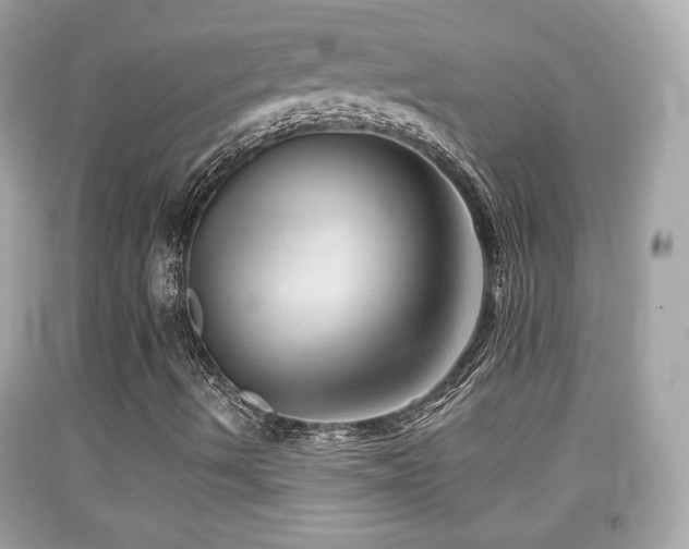 X0000092081490200709121434