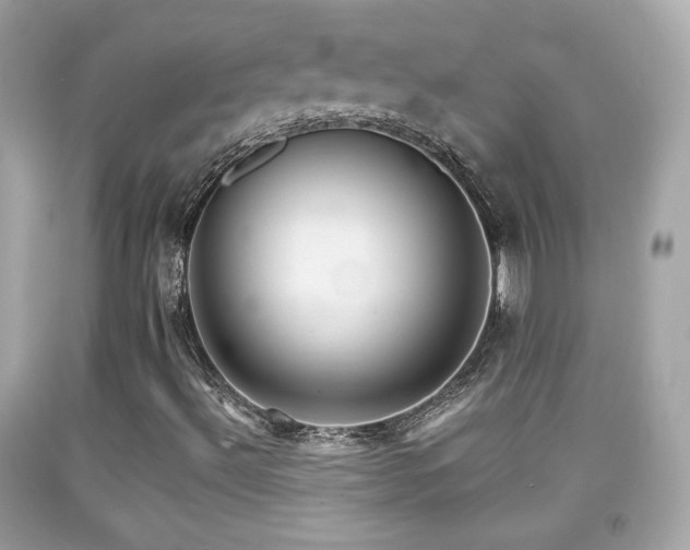 X0000092081492200709121434