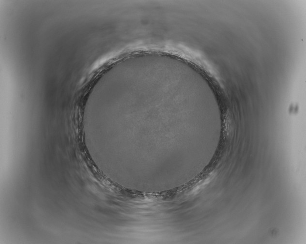 X0000092081494200709121434