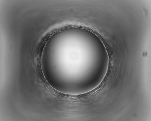 X0000092081495200709121434