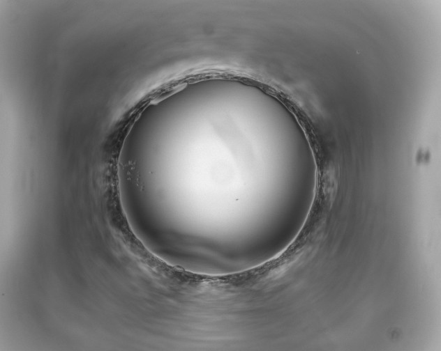 X0000092081496200709121434