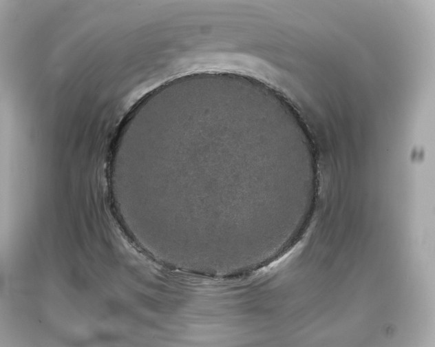 X0000092081497200709121434