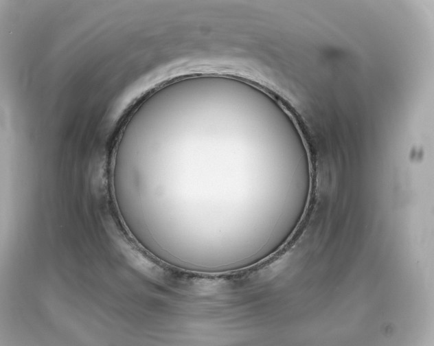X0000092081498200709121434