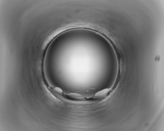 X0000092081500200709121434