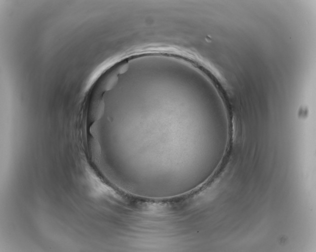 X0000092081501200709121434
