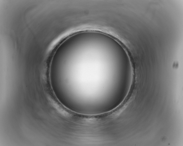 X0000092081502200709121434