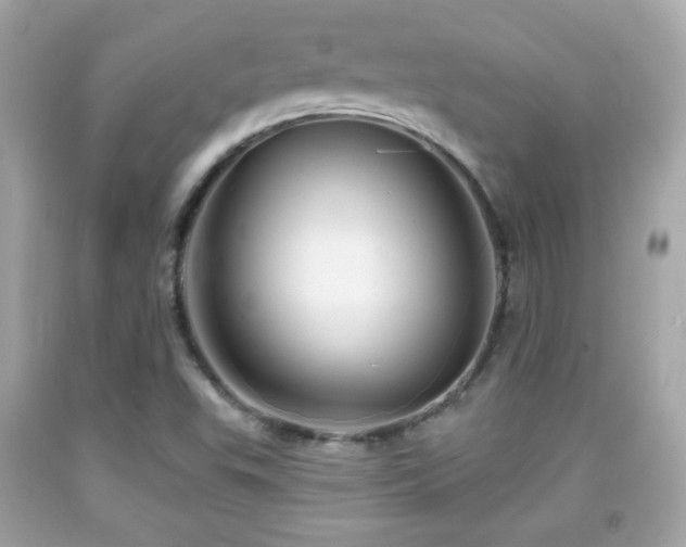 X0000092081503200709121434