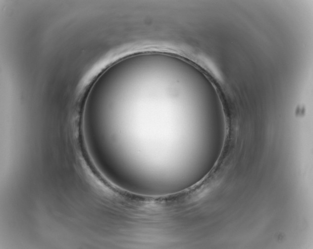 X0000092081504200709121434