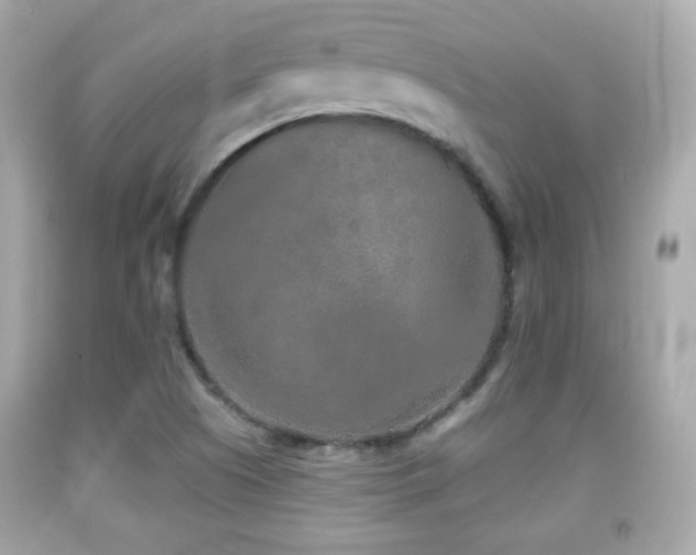 X0000092081505200709121434