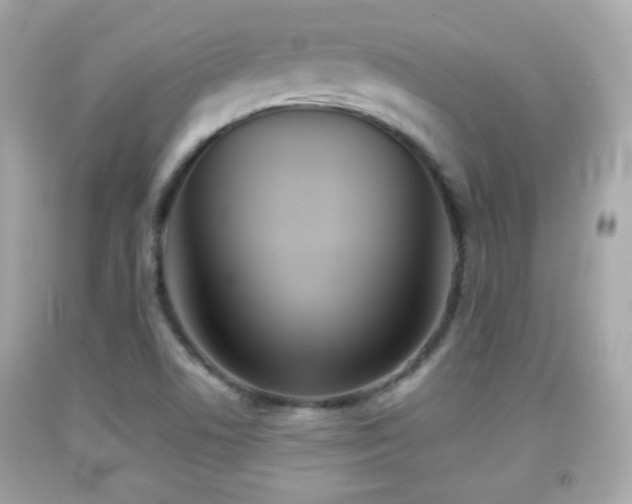 X0000092081506200709121434