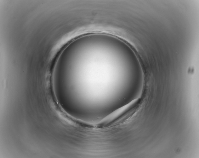 X0000092081507200709121434