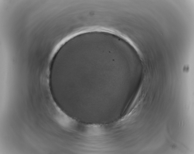 X0000092081508200709121434
