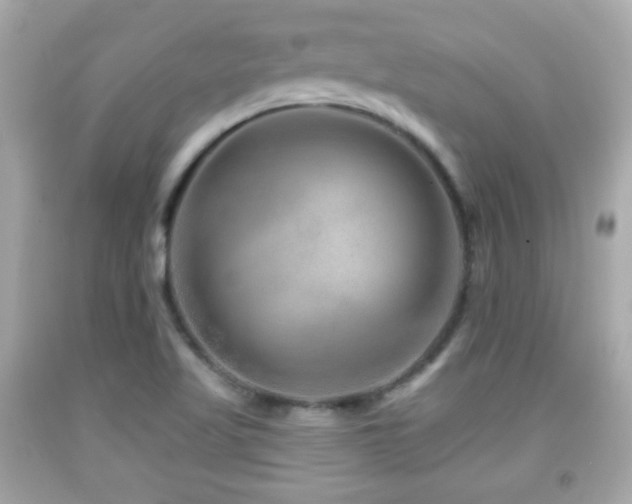 X0000092081509200709121434