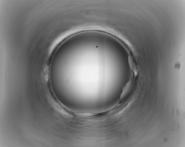 X0000092081510200709121434