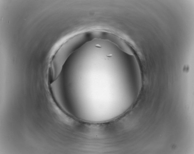 X0000092081512200709121434