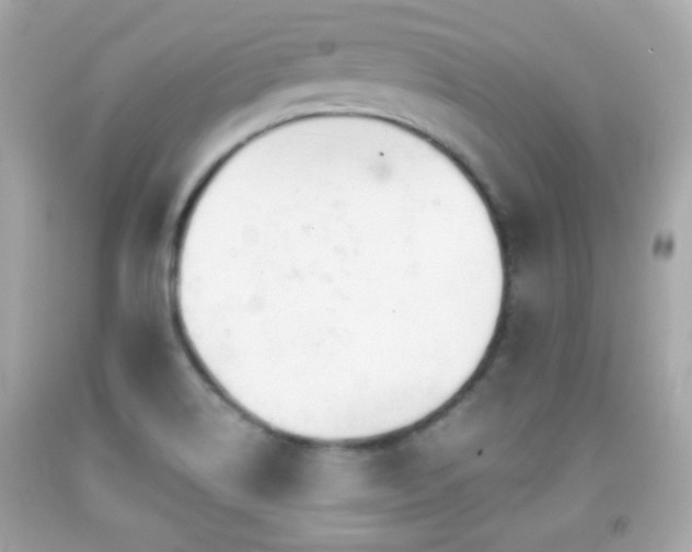 X0000092081514200709121434
