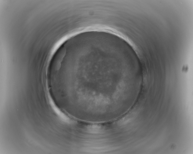 X0000092081515200709121434