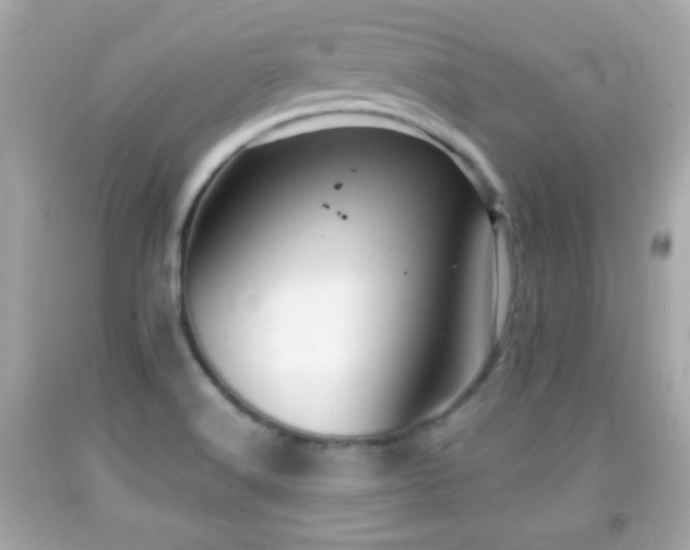 X0000092081516200709121434