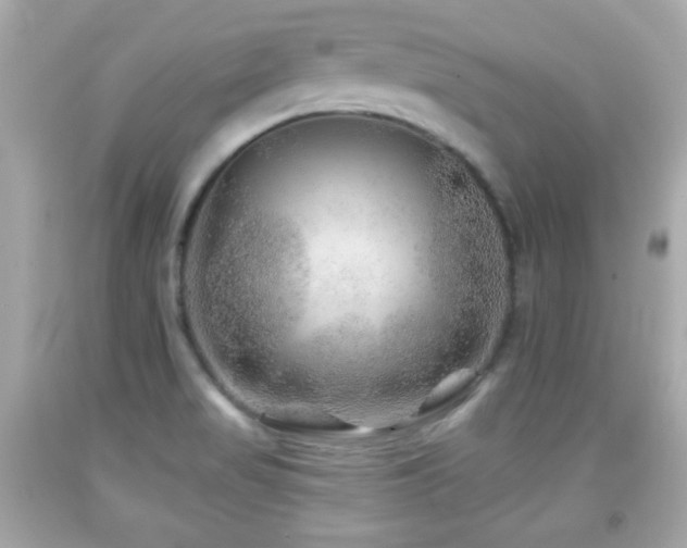 X0000092081517200709121434