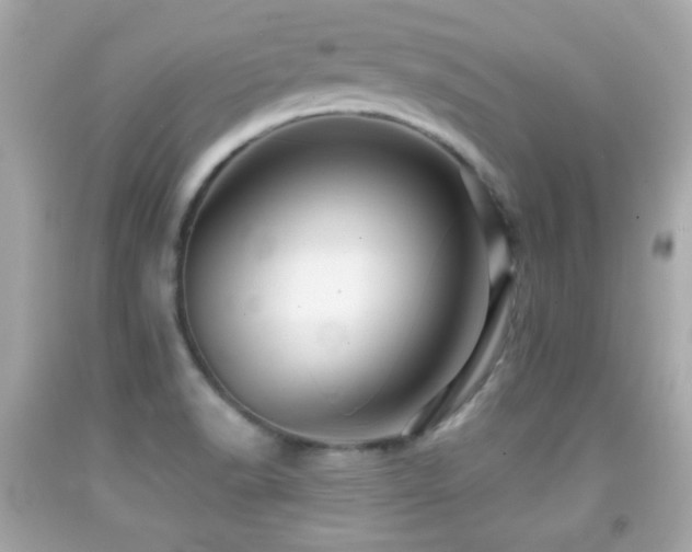 X0000092081518200709121434