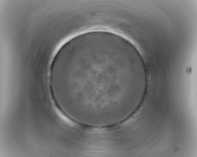 X0000092081519200709121434