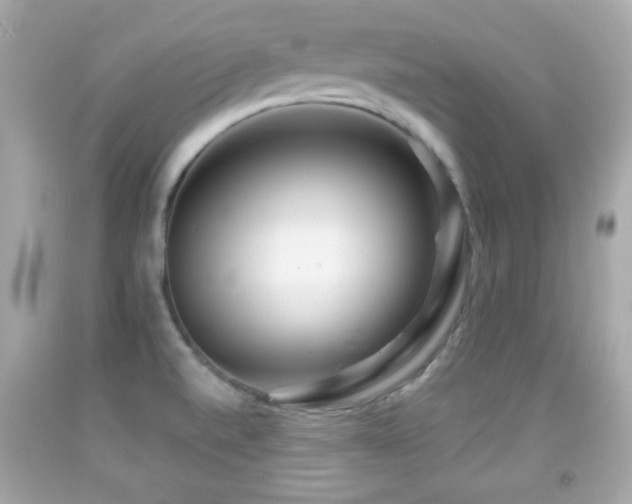 X0000092081520200709121434