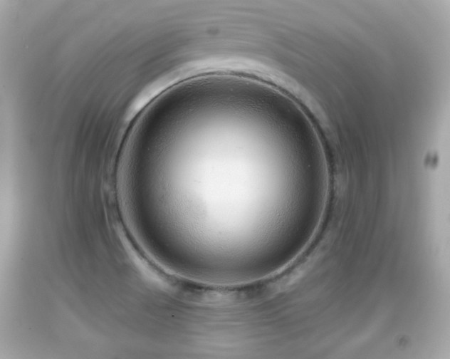 X0000092081521200709121434