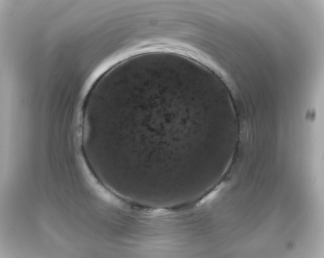 X0000092081522200709121434