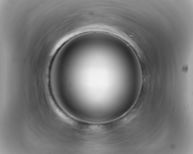 X0000092081523200709121434