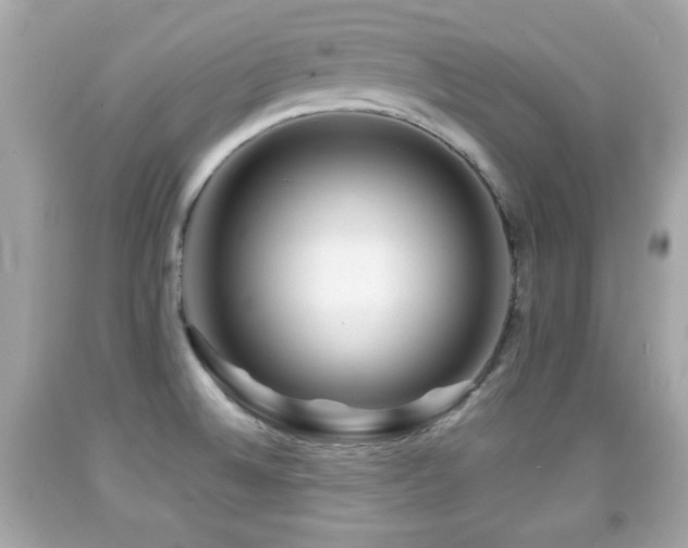 X0000092081524200709121434