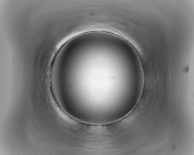 X0000092081526200709121434