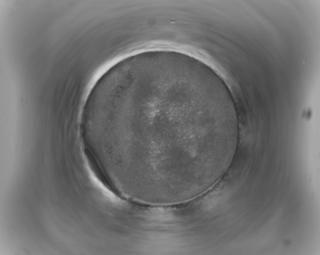 X0000092081527200709121434