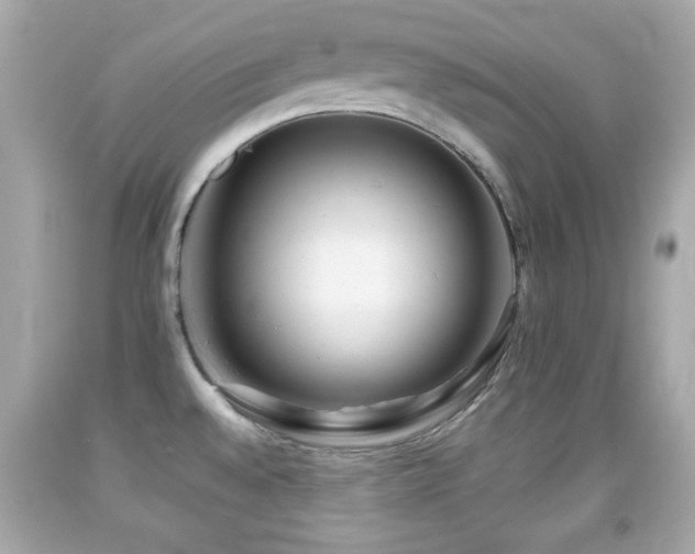 X0000092081528200709121434