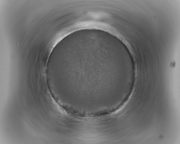 X0000092081529200709121434