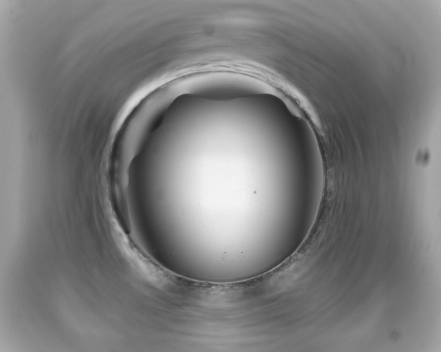 X0000092081530200709121434