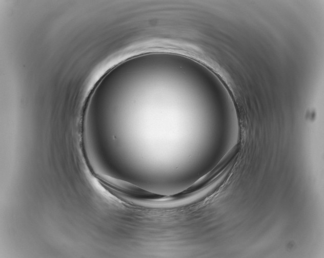 X0000092081531200709121434