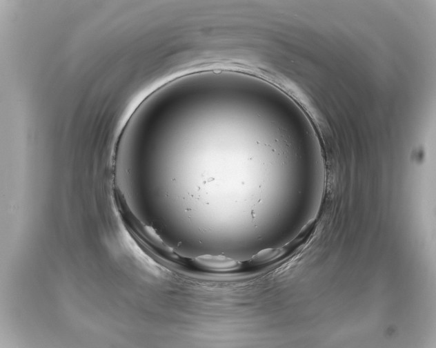 X0000092081532200709121434