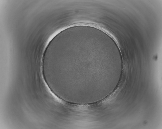 X0000092081533200709121434