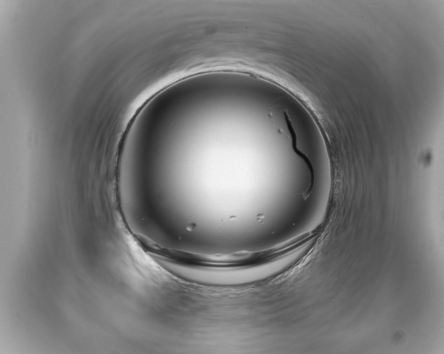 X0000092081534200709121434