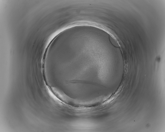 X0000092081535200709121434