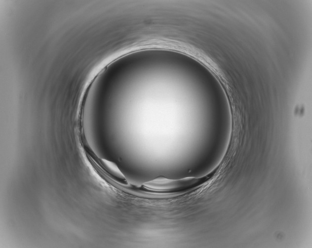 X0000092081536200709121434