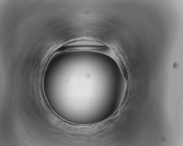 X0000092080001200709191234
